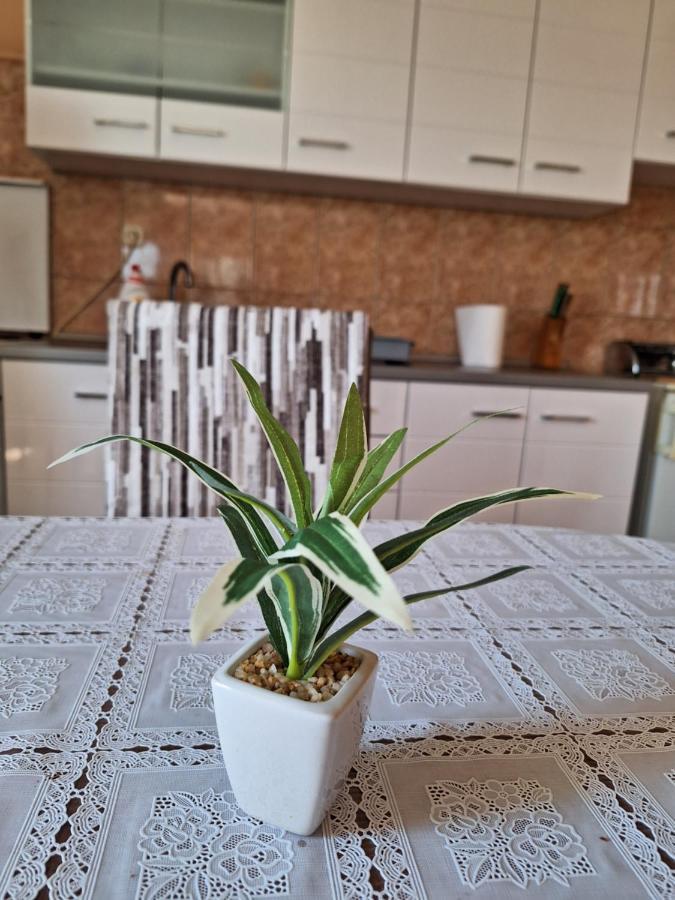 Mara Apartman Zára Kültér fotó
